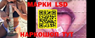 стафф Бердск