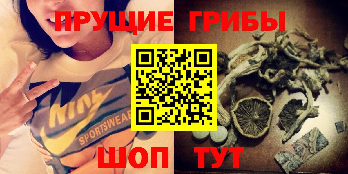 Полысаево  наркотики  Вход с VPN  Галлюциногенные грибы мицелий 