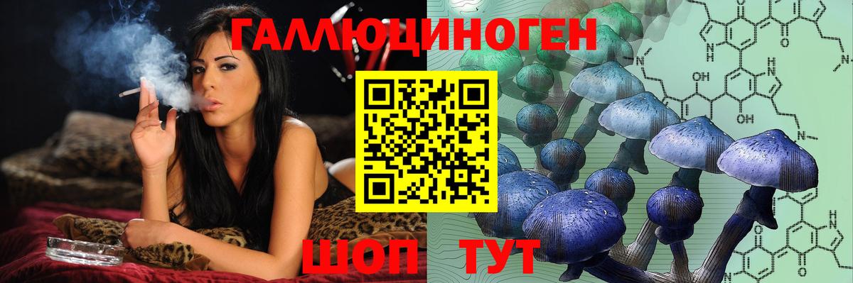 Галлюциногенные грибы GOLDEN TEACHER Полысаево